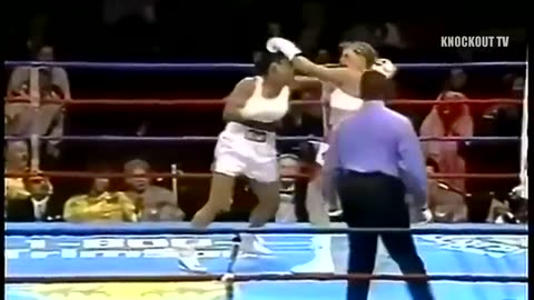 Best boxing knockouts by laila ali-mohammad ali