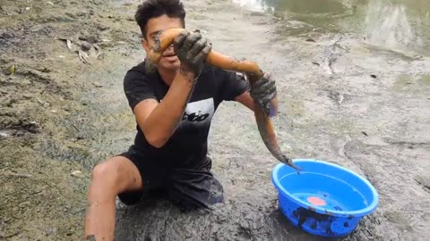 Boy Catching Eel Fish From Muddy Secret Hole By Hand