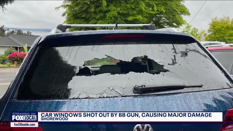 Suspect in SUV damages multiple cars with BB gun in Shorewood _ Gutfeld Fox News