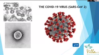 "Spike protein is the most toxic, disease-causing entity or part of the virus!" - Dr. Marivic Villa