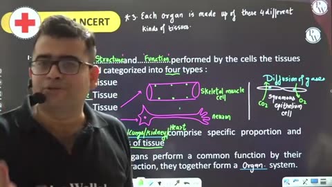 Animal Structure & Organization: Yakeen Batch 2024 NEET Lecture 1 on Rumble