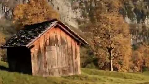 Café da manhã com vista para a Suíça 🇨🇭 Quem você levaria Vídeo