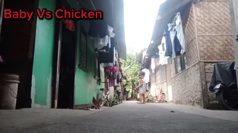 Baby Vs. Chicken