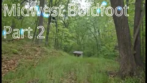 Midwest Boldfoot Part 2