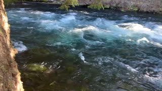 Hugging Mighty Metolius River – Central Oregon