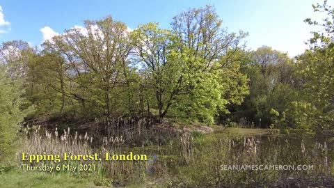 Walking from Wanstead Park to Epping Forest in London