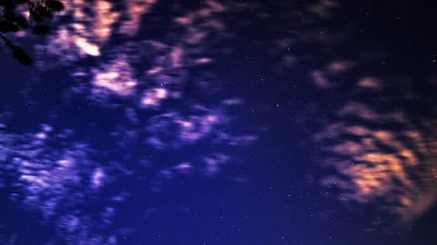 Starfield using Ultra Wide Field Astrophotography