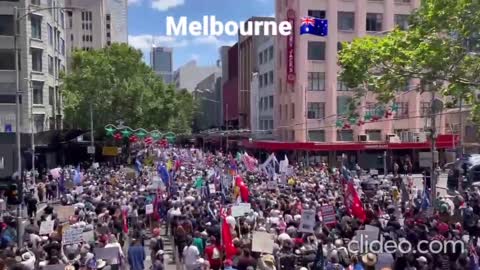 Melbourne Rises Against Communist Premiere Dan Andrews