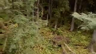 Auke Lake in Juneau Alaska! Preview 2