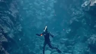 Ocean Dive - Amazing Nature - Under Water