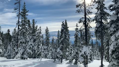 Breaking Snow Climbing a Mountain – Central Oregon – Vista Butte Sno-Park – 4K