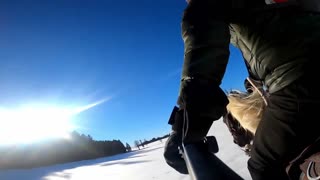 gallop with a horse in a magnificent snowy landscape