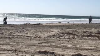 Two guys riding segways on beach