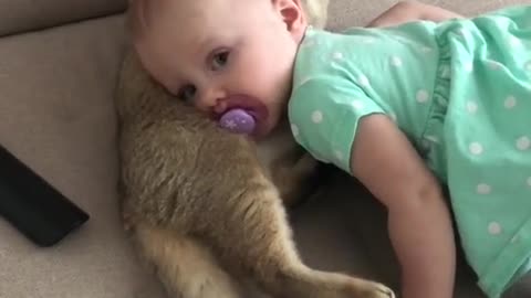 the cutest cat and baby