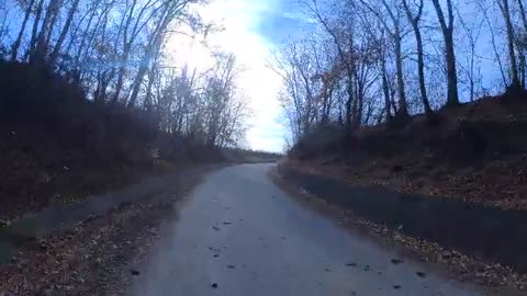 Walking the KUVASZ