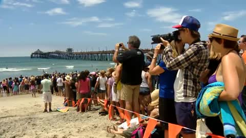 Incredible !!! Footage of dog surfing competition in San Diego