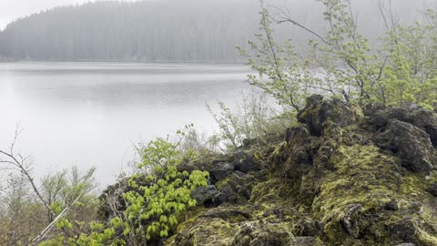 Circumnavigating the Scenic Clear Lake Loop – Central Oregon – 4K