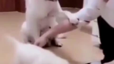 The dog's mother loves her baby