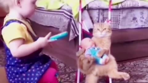 Cat says it's too hard for me to take care of a child's child