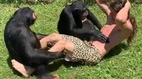 Monkey trainer helps in abs workout comedy video