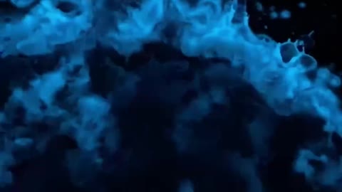Beautiful Bioluminescence Compilation in South Africa