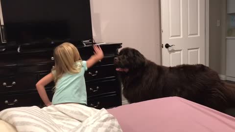 Mom documents hilarious bedtime routine with huge Newfoundland