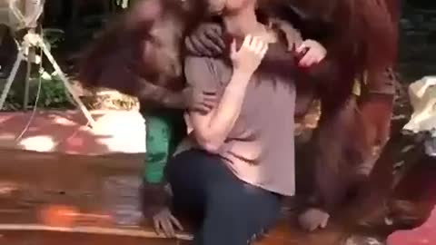 Monkey kiss girl Monkey funny video latest video 2021 | itz king maker