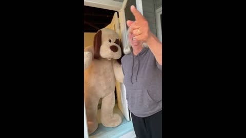 Kid climbs in giant plush dog and regrets it