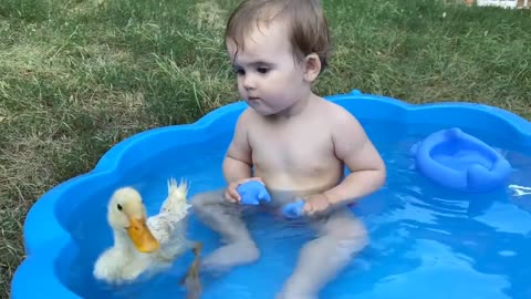 Funny Baby Reaction to Duckling in the Pool