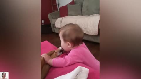 Funny Babies Playing with Dogs and Cats Compilation || Just Laugh
