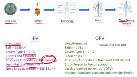 Polio Virus Clearly explained: Addressing Polio Virus that was Detected in London Wastewater