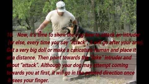 How to make you dog aggressive with few simple tricks