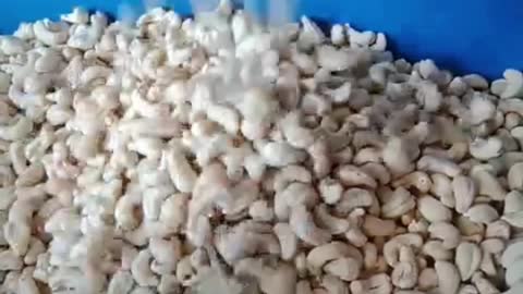 W240 Cashew Nut Vietnam White Whole Cashews Kernels