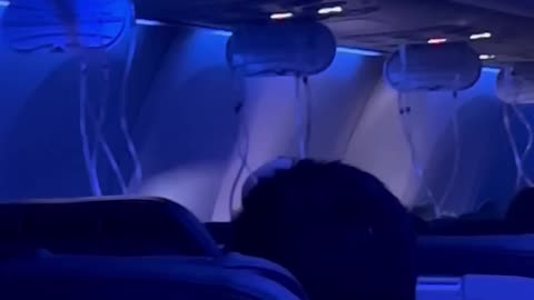 Alaska Airlines Flight Makes Urgent Landing Following Mid-Air Aircraft Window Eruption