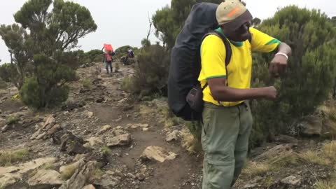I Climbed Kilimanjaro