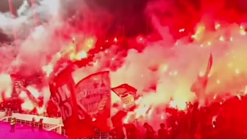 Moroccan Wydad fans are the best in the world