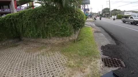 Good Samaritan Removes Dust Pan From Busy Road