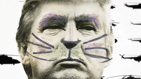 Adbusters - #The Real Donald Trump