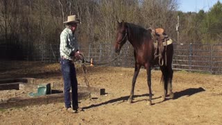 Keeping a horse relaxed on first ride