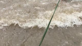 Flood Surfing Fun