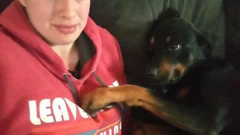 Sweetest Doggy Ever Proves Not All Growls Are Mean