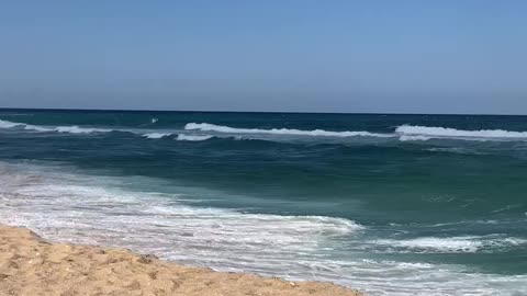 the strong waves of the Gangwon-do sea