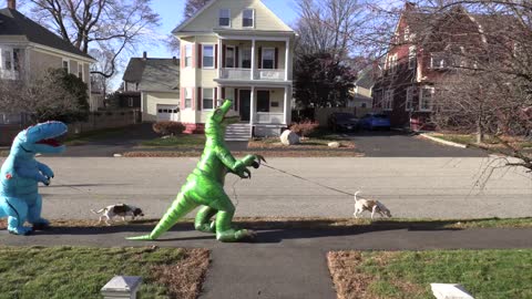 Funny Dogs & Dinosaur Dance Party! the Dog vs Dancing Dino Prank
