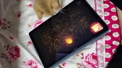 Cute cutie playing game on tablet 📲