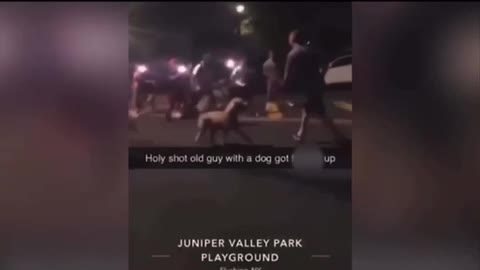 100 Teens Attack Fireman Walking His Dog [WARNING: GRAPHIC VIDEO]
