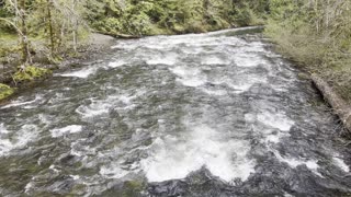 ENJOY the Peace & Quiet of Wild & Scenic Salmon River – Mount Hood – 4K