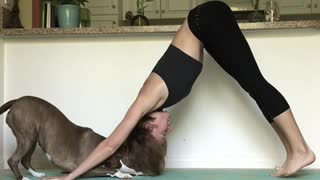 Dog Gives Tons of Kisses During Yoga Flow