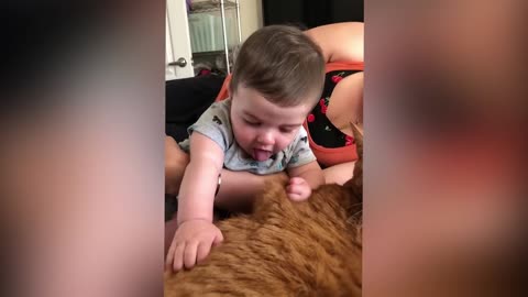 Cutest Babies Play With Cats 6