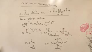 Oxidation of Aldehydes and Ketones