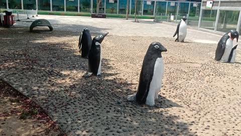 Penguins in summer! Ha ha